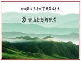 第10课《青山处处埋忠骨》课件 部编版语文五年级下册