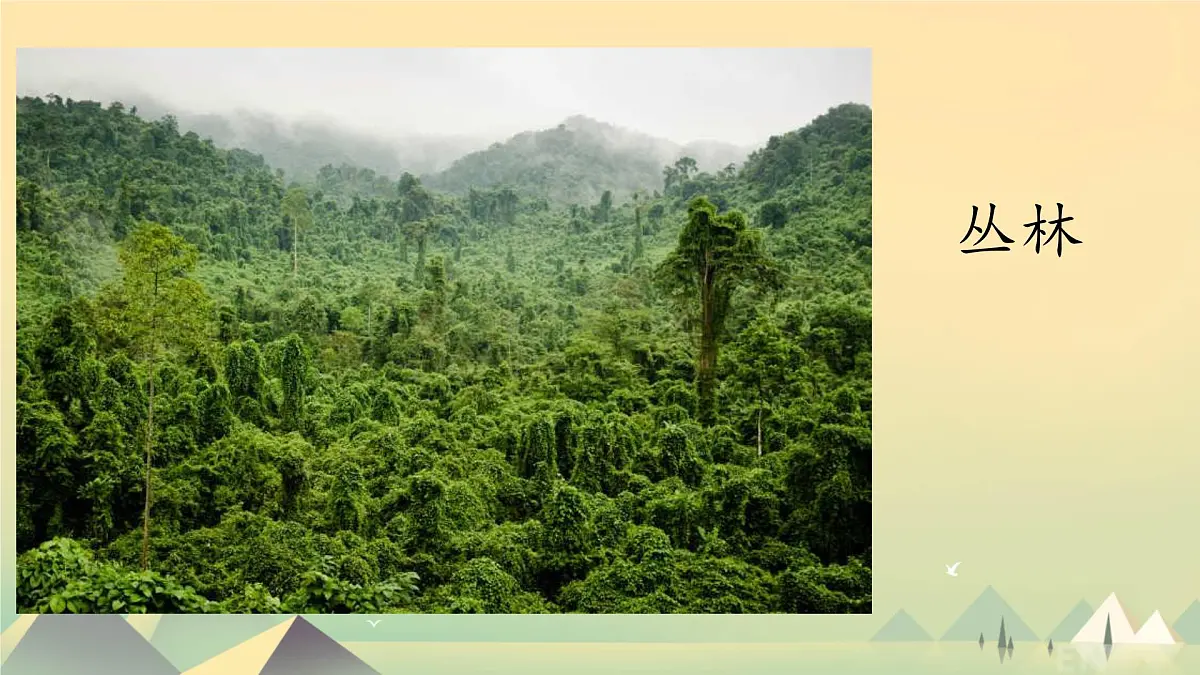 小学语文统编版（2024）二年级下册6.17 要是你在野外迷了路 课件第6页