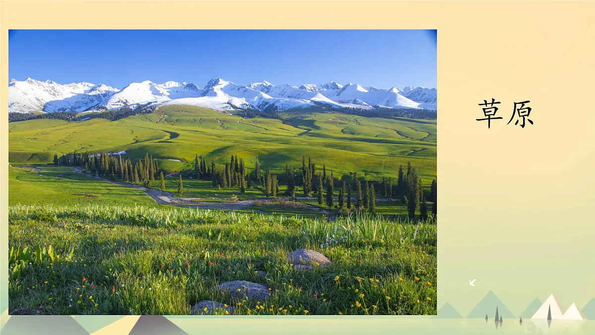 小学语文统编版（2024）二年级下册6.17 要是你在野外迷了路 课件第8页