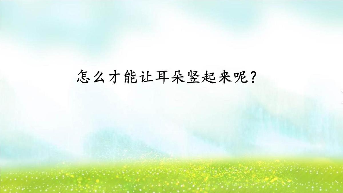 小学语文统编版（2024）二年级下册7.19 大象的耳朵 课件第8页
