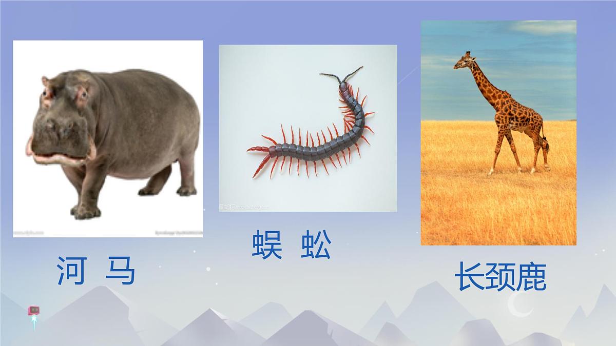 小学语文统编版（2024）二年级下册7.20 蜘蛛开店 课件第2页