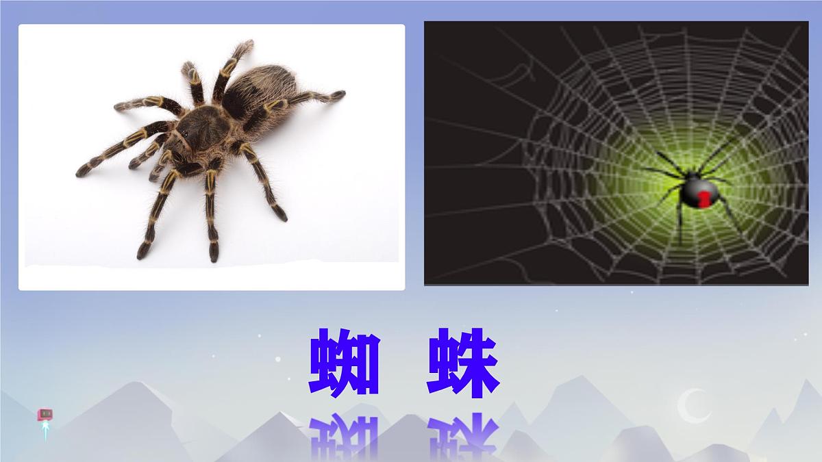 小学语文统编版（2024）二年级下册7.20 蜘蛛开店 课件第3页