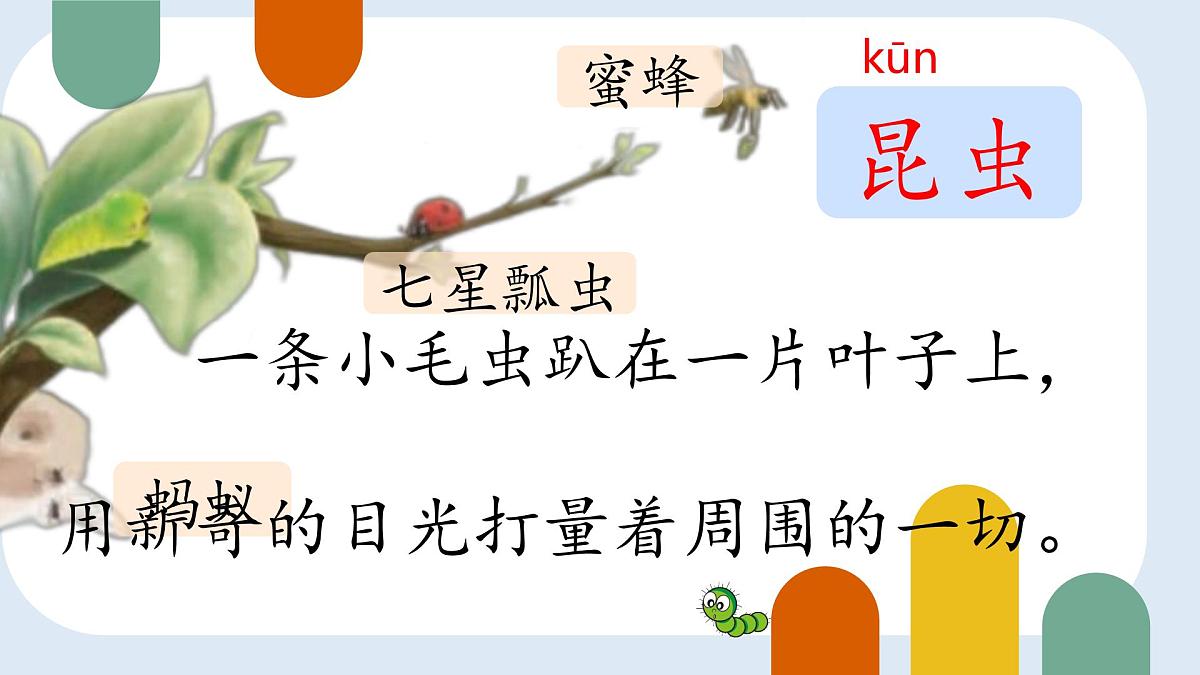 小学语文统编版（2024）二年级下册7.22 小毛虫 课件第8页