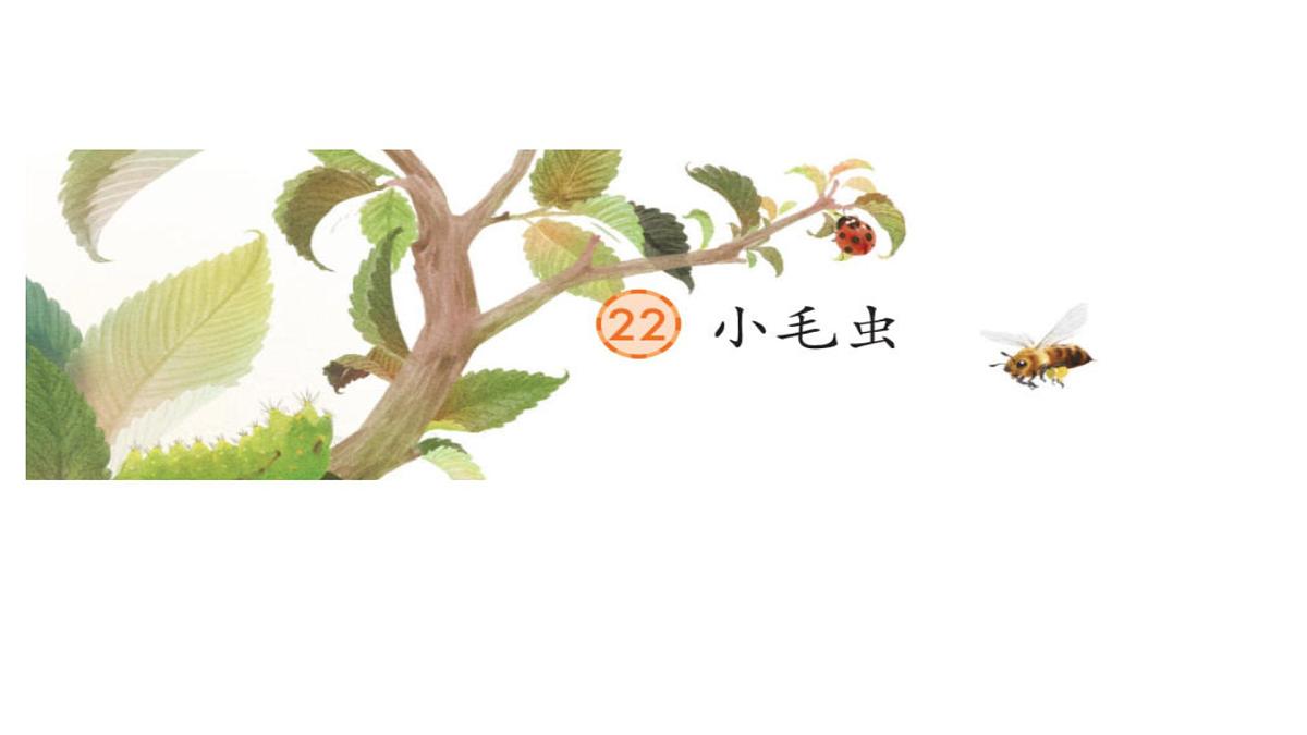 小学语文统编版（2024）二年级下册7.22 小毛虫 课件第1页
