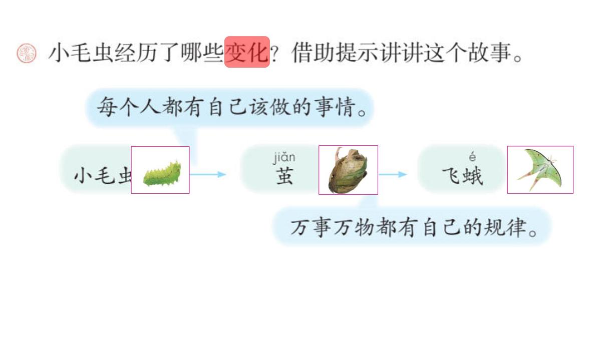 小学语文统编版（2024）二年级下册7.22 小毛虫 课件第3页