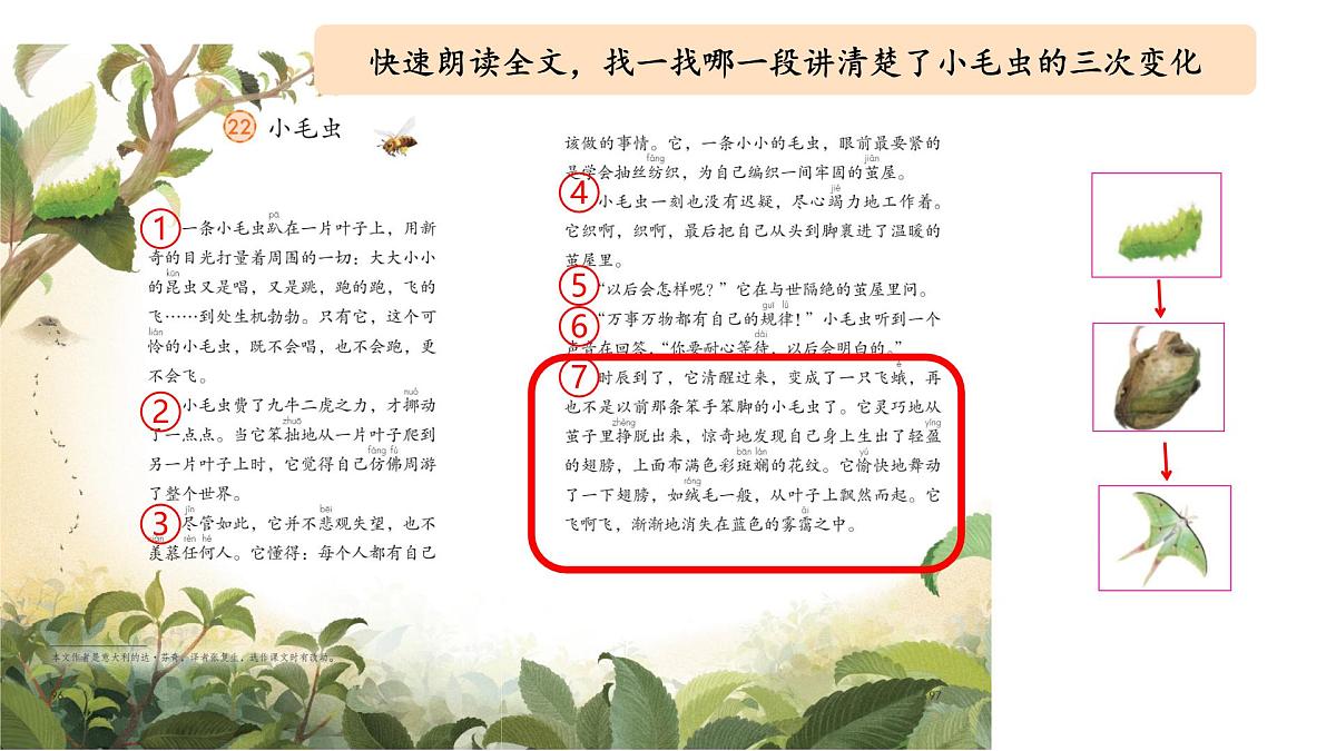 小学语文统编版（2024）二年级下册7.22 小毛虫 课件第4页