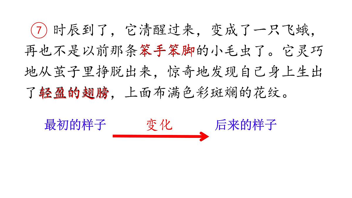 小学语文统编版（2024）二年级下册7.22 小毛虫 课件第5页