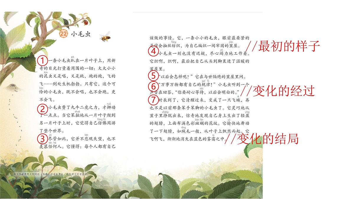 小学语文统编版（2024）二年级下册7.22 小毛虫 课件第6页
