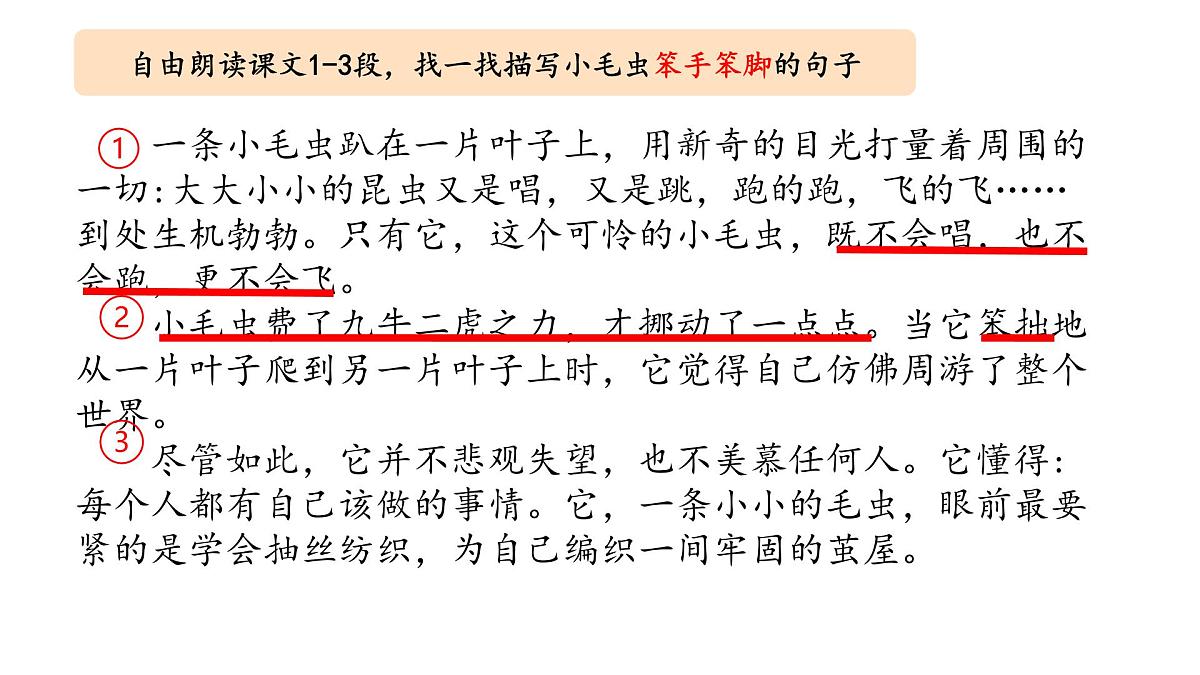 小学语文统编版（2024）二年级下册7.22 小毛虫 课件第8页