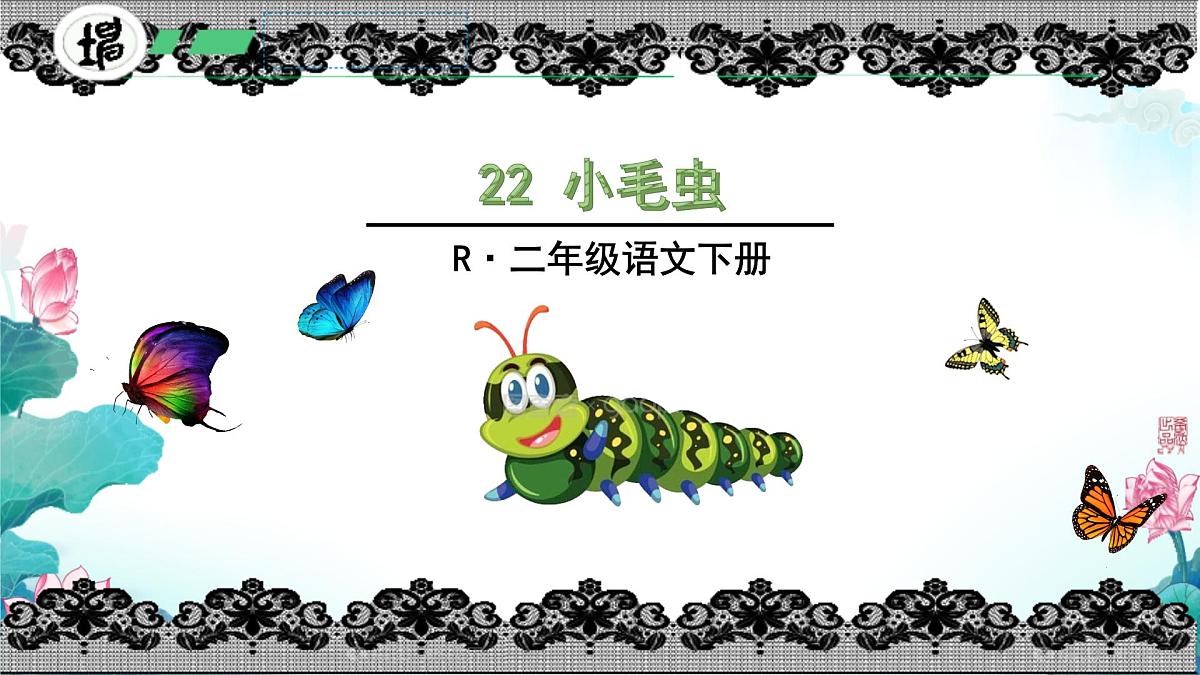 小学语文统编版（2024）二年级下册7.22 小毛虫 课件第1页