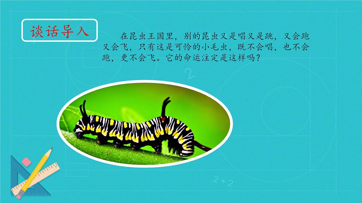 小学语文统编版（2024）二年级下册7.22 小毛虫 课件第3页