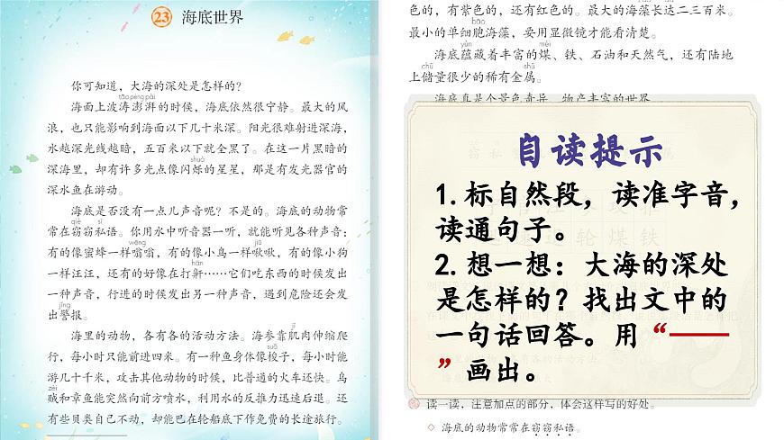 部编版小学语文三年级下册第七单元23《海底世界》课件第6页