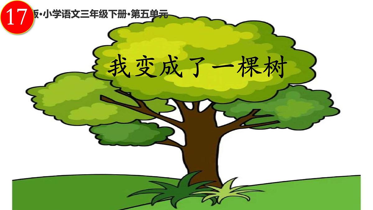 小学语文统编版（2024）三年级下册5.17 我变成了一棵树 课件第1页