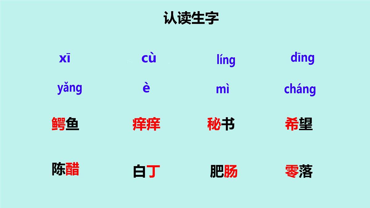 小学语文统编版（2024）三年级下册5.17 我变成了一棵树 课件第5页