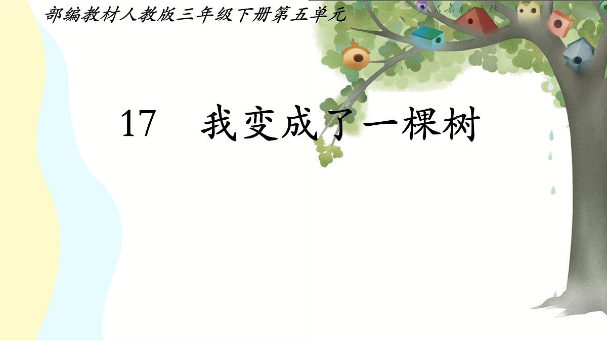 小学语文统编版（2024）三年级下册5.17 我变成了一棵树 课件第1页