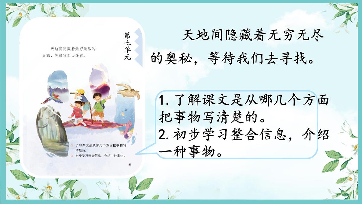 小学语文统编版（2024）三年级下册7.22 我们奇妙的世界  课件第2页