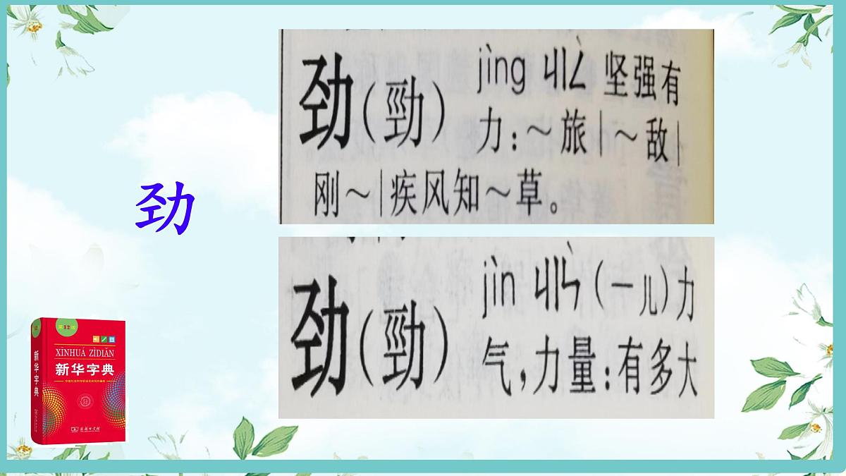 小学语文统编版（2024）三年级下册7.22 我们奇妙的世界  课件第5页