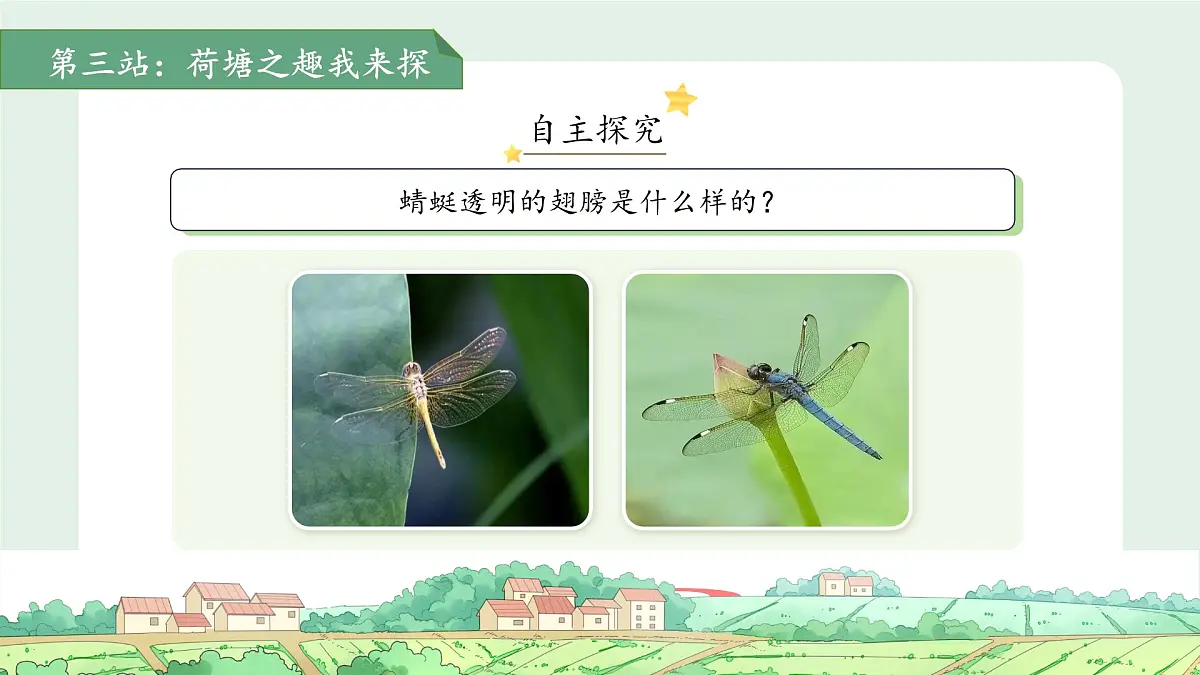 12荷叶圆圆 第2课时 课件 小学语文统编版（2024）一年级下册第六单元第7页