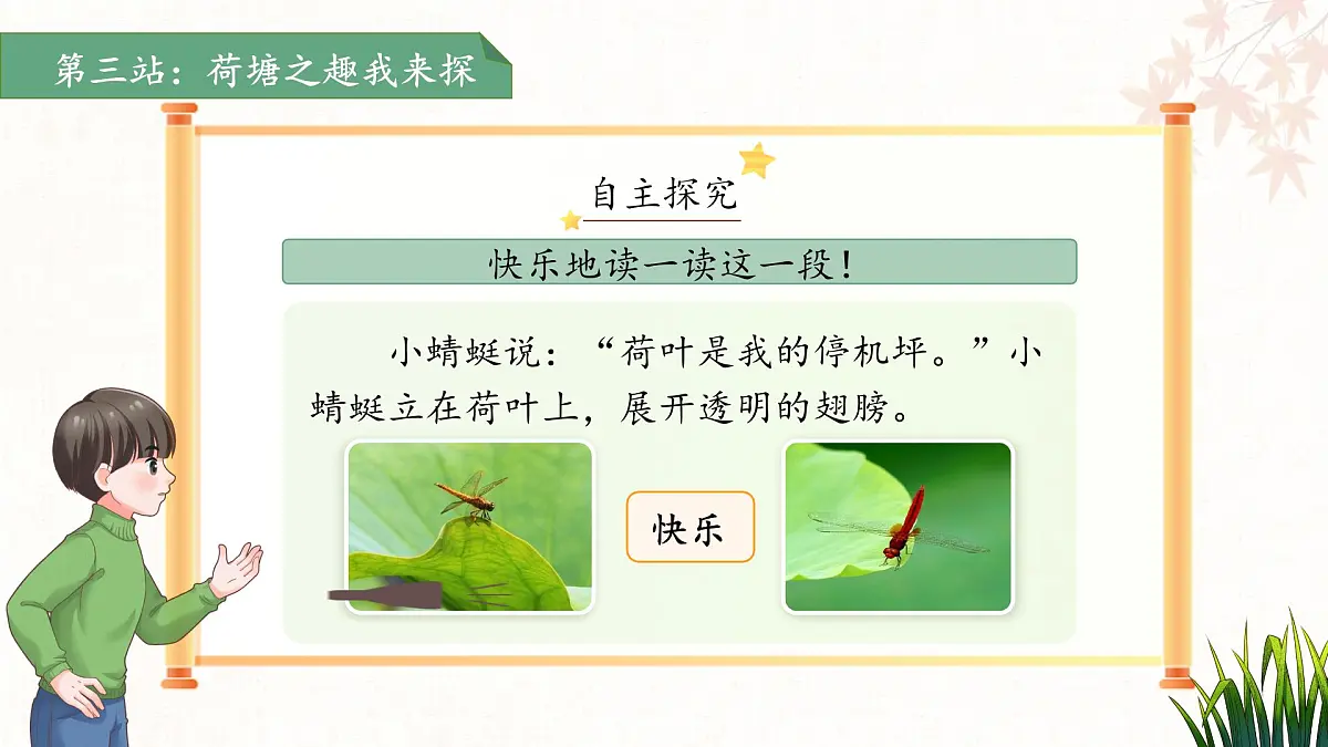 12荷叶圆圆 第2课时 课件 小学语文统编版（2024）一年级下册第六单元第8页