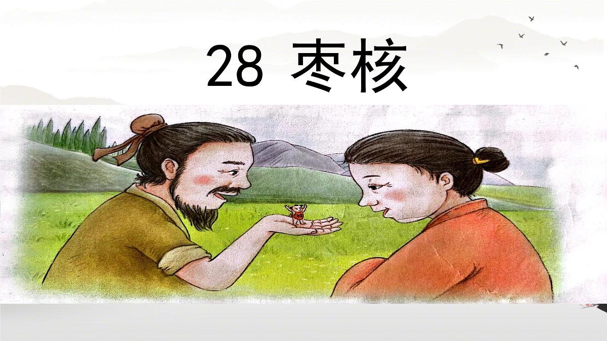 小学语文统编版（2024）三年级下册8.28 枣核 课件第1页