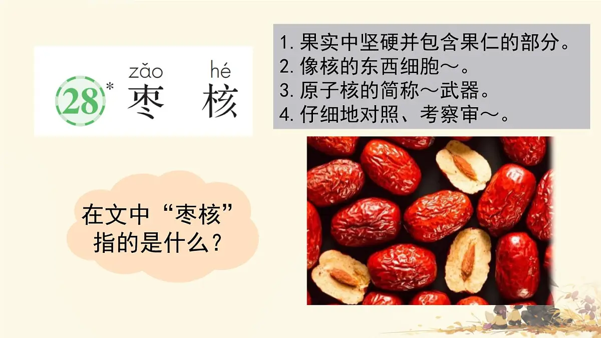 小学语文统编版（2024）三年级下册8.28 枣核 课件第2页