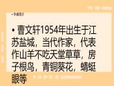 小学语文统编版（2024）四年级下册6.21  芦花鞋 课件