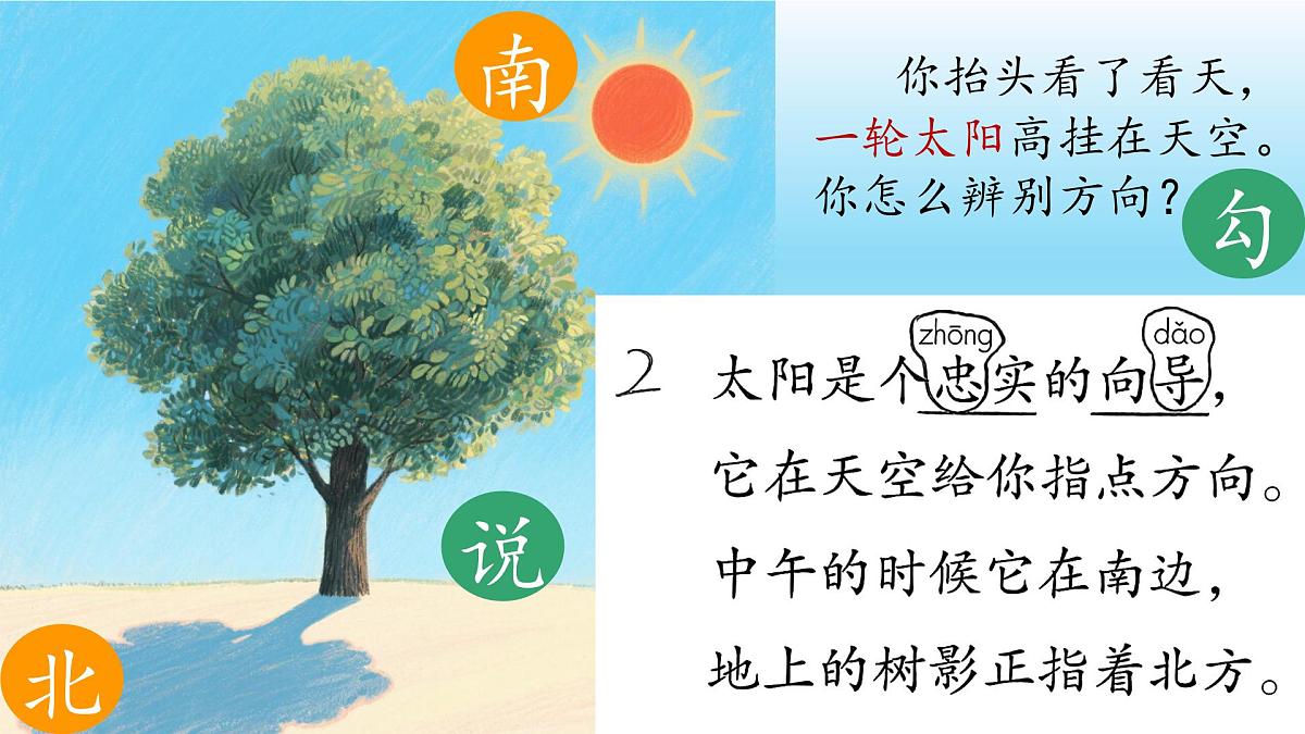 统编版语文二年级下册第17《要是你在野外迷了路》课件第7页