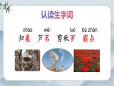 部編版小學語文四年級上冊3《現(xiàn)代詩二首》課件+教案+練習（含答案）