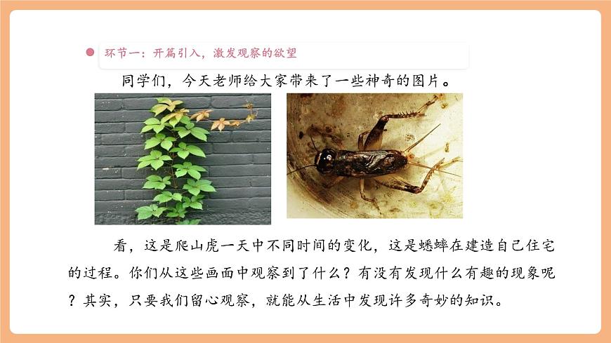 第2单元 导读课第1课时 教学设计 课件第6页