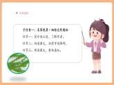 【大單元核心素養(yǎng)】部編版語文四年級上冊第三單元第2課時 10《爬山虎的腳》課件+教案+單元整體教學(xué)設(shè)計