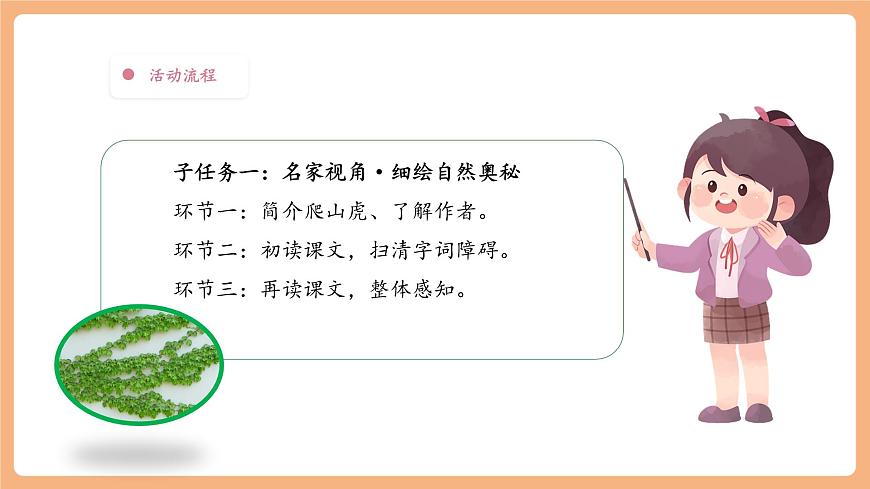 【大单元】统编版四上第二单元 第2课时 5.一个豆荚里的五粒豆 课件第4页