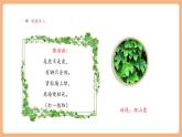 【大單元核心素養(yǎng)】部編版語文四年級上冊第三單元第2課時 10《爬山虎的腳》課件+教案+單元整體教學(xué)設(shè)計