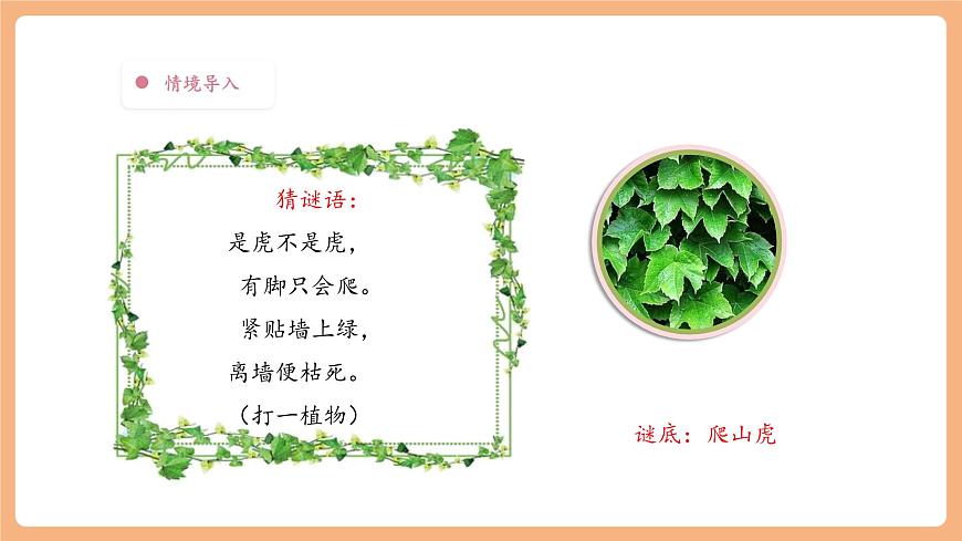 【大单元】统编版四上第二单元 第2课时 5.一个豆荚里的五粒豆 课件第5页