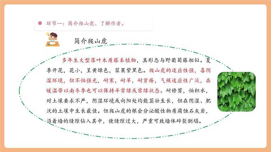 【大单元】统编版四上第二单元 第2课时 5.一个豆荚里的五粒豆 课件第6页