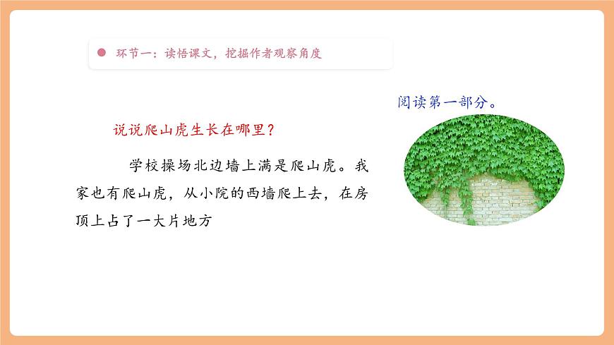 【大单元】统编版四上第二单元 第3课时 5.一个豆荚里的五粒豆  课件第6页