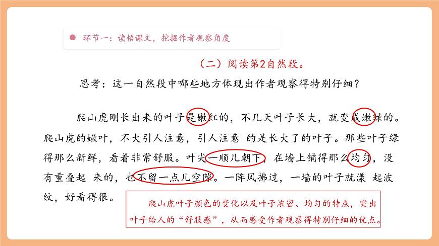 【大单元】统编版四上第二单元 第3课时 5.一个豆荚里的五粒豆  课件第8页