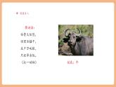 【大單元核心素養(yǎng)】部編版語(yǔ)文四年級(jí)上冊(cè)第六單元第2課時(shí) 18《牛和鵝》課件+教案+單元整體教學(xué)設(shè)計(jì)
