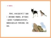 【大單元核心素養(yǎng)】部編版語文四年級(jí)上冊(cè)第五單元第6課時(shí)《交流平臺(tái)》課件+教案+單元整體教學(xué)設(shè)計(jì)