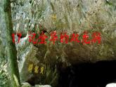 统编版四年级语文下册《17 记金华的双龙洞》课件