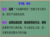 统编版四年级语文下册《21 芦花鞋》课件