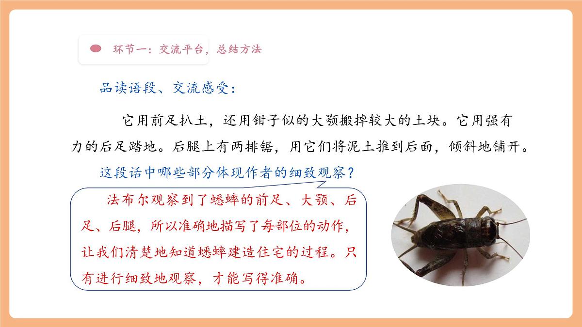 【大单元】统编版四上第三单元 第10课时  语文园地 课件第8页