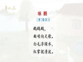 统编版四年级语文下册课件《15 白鹅》