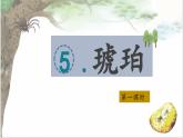 （結(jié)合語(yǔ)文作業(yè)本設(shè)計(jì)）統(tǒng)編版小學(xué)語(yǔ)文四年級(jí)下冊(cè)5.琥珀課件兩課時(shí)