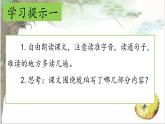 （結(jié)合語(yǔ)文作業(yè)本設(shè)計(jì)）統(tǒng)編版小學(xué)語(yǔ)文四年級(jí)下冊(cè)5.琥珀課件兩課時(shí)