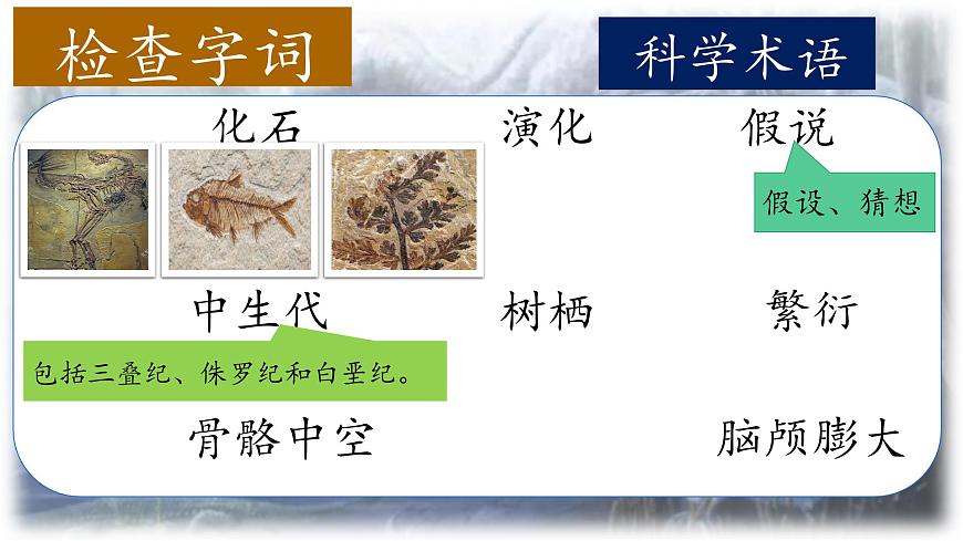 （结合语文作业本设计）统编版小学语文四年级下册6.飞向蓝天的恐龙课件两课时第5页