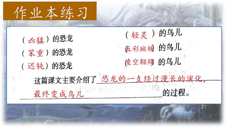 （结合语文作业本设计）统编版小学语文四年级下册6.飞向蓝天的恐龙课件两课时第7页
