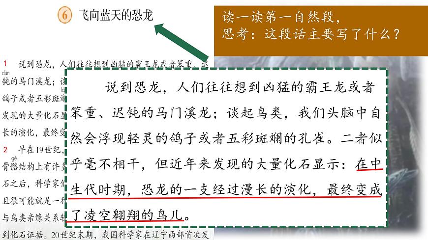 （结合语文作业本设计）统编版小学语文四年级下册6.飞向蓝天的恐龙课件两课时第8页