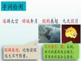 （結(jié)合語文作業(yè)本設(shè)計）統(tǒng)編版小學(xué)語文四年級下冊8.千年夢圓在今朝課件一課時