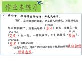 （結合語文作業(yè)本設計）統(tǒng)編版小學語文四年級下冊10.綠課件兩課時