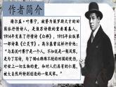 （結(jié)合語文作業(yè)本設(shè)計(jì)）統(tǒng)編版小學(xué)語文四年級(jí)下冊(cè)11.白樺課件兩課時(shí)